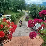 Daniela 3*