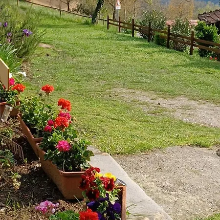 לינה וארוחת בוקר Daniela