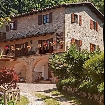 Daniela Bed & Breakfast