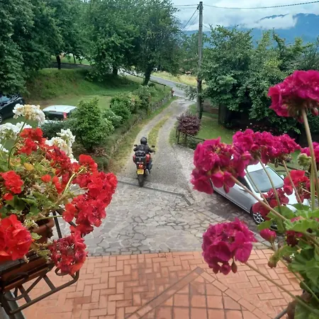Daniela 3*