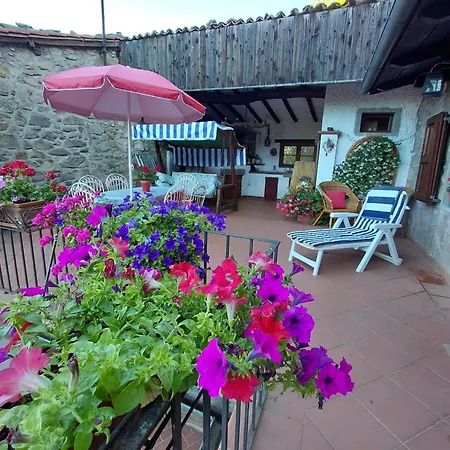 Daniela לינה וארוחת בוקר