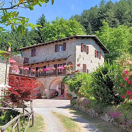 Daniela Castiglione di Garfagnana