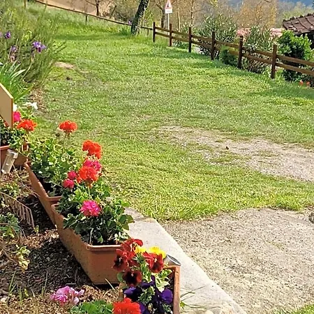 Daniela Bed & Breakfast 3*