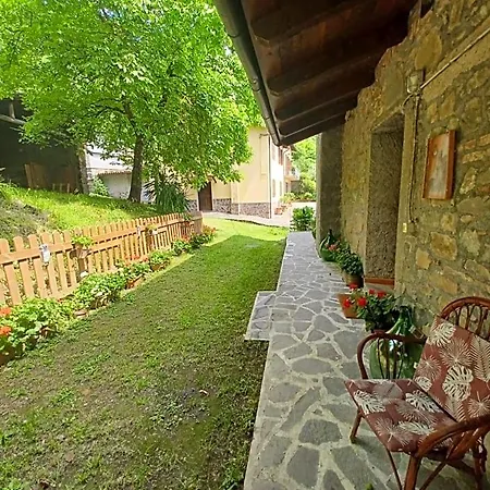 Daniela Bed & Breakfast